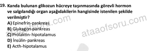 ata egzersizvespor 1555 19