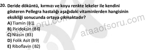 ata egzersizvespor 1555 20