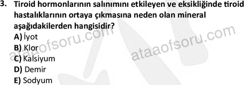 ata egzersizvespor 1555 3