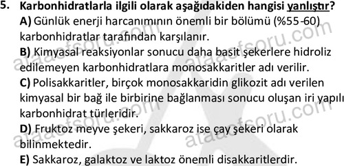 ata egzersizvespor 1555 5