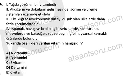 ata egzersizvespor 1555 6
