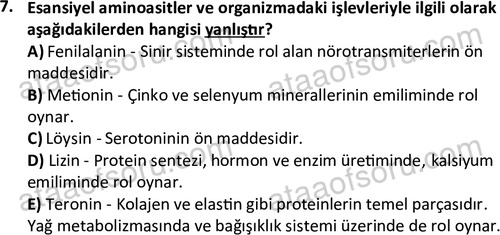 ata egzersizvespor 1555 7