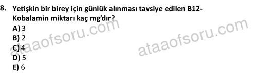 ata egzersizvespor 1555 8