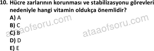ata egzersizvespor 1555 10
