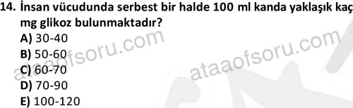 ata egzersizvespor 1555 14