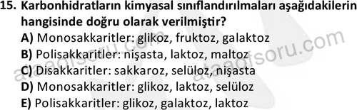 ata egzersizvespor 1555 15
