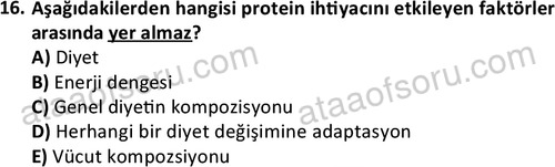 ata egzersizvespor 1555 16