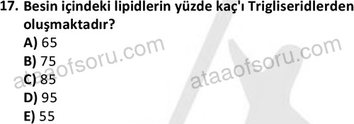 ata egzersizvespor 1555 17