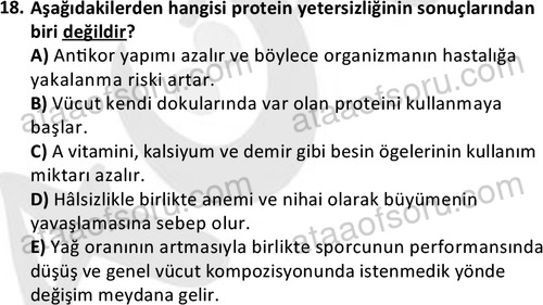 ata egzersizvespor 1555 18