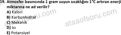 ata egzersizvespor 1555 19