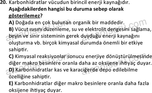 ata egzersizvespor 1555 20