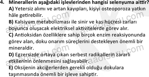 ata egzersizvespor 1555 4