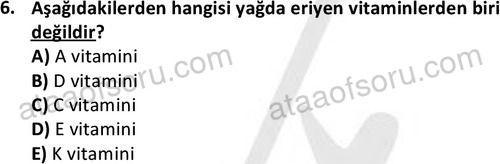 ata egzersizvespor 1555 6