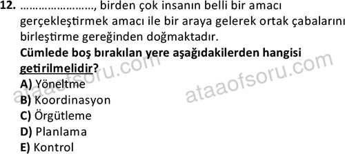 ata egzersizvespor 1556 12