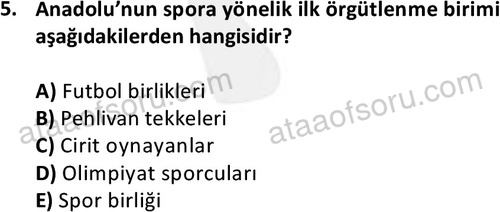 ata egzersizvespor 1556 5