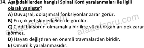ata egzersizvespor 1567 14