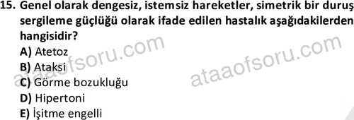 ata egzersizvespor 1567 15