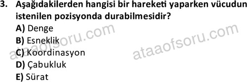 ata egzersizvespor 1567 3