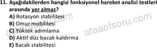 ata egzersizvespor 1569 11