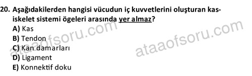 ata egzersizvespor 1569 20