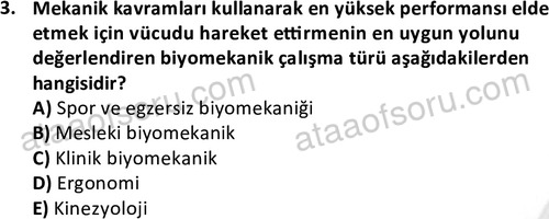 ata egzersizvespor 1569 3
