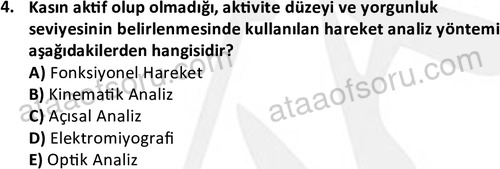 ata egzersizvespor 1569 4