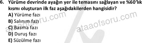 ata egzersizvespor 1569 6