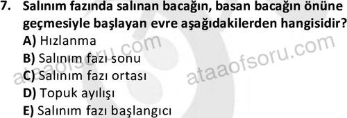 ata egzersizvespor 1569 7
