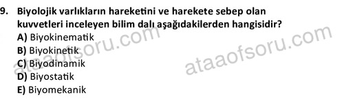 ata egzersizvespor 1569 9
