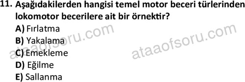 ata egzersizvespor 1568 11