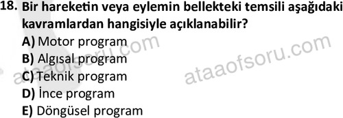 ata egzersizvespor 1568 18