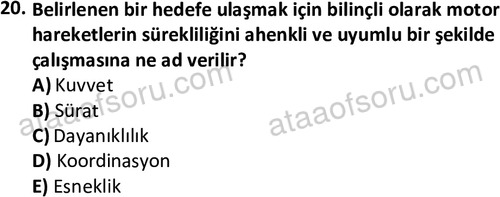 ata egzersizvespor 1568 20
