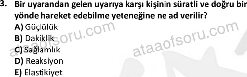 ata egzersizvespor 1568 3