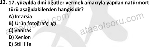 ata fotografcilik 1628 12