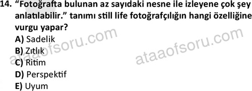 ata fotografcilik 1628 14