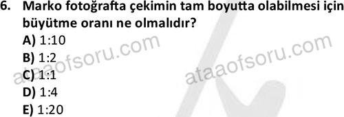 ata fotografcilik 1628 6