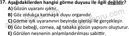 ata fotografcilik 1632 17