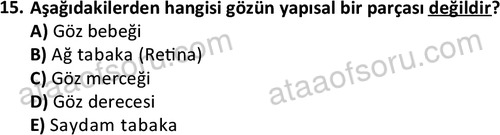 ata fotografcilik 1632 15