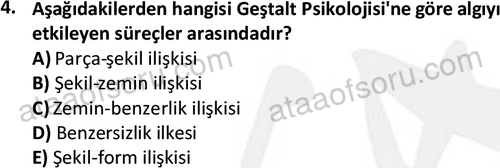 ata grafiksanatlar 1667 4