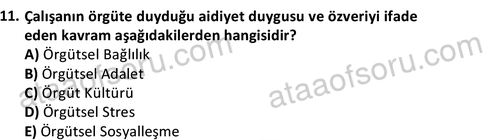 ata halklailiskilerlisans 1731 11