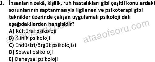 ata halklailiskilerlisans 1738 1
