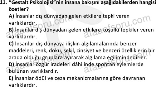 ata halklailiskilerlisans 1738 11
