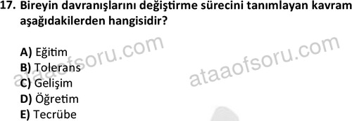 ata halklailiskilerlisans 1740 17