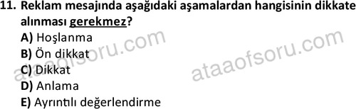 ata halklailiskilerlisans 1751 11