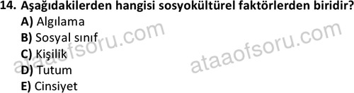 ata halklailiskilerlisans 1751 14