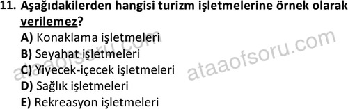 ata halklailiskilerlisans 1752 11
