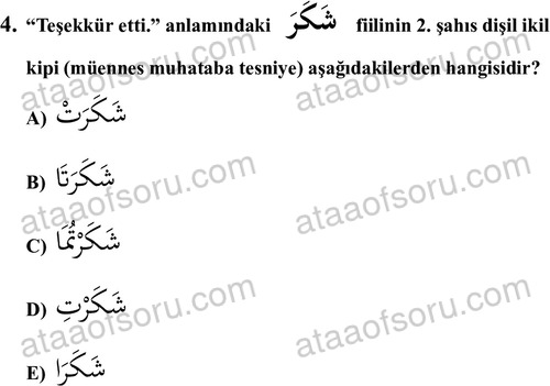 ata islamiilimler 1759 4