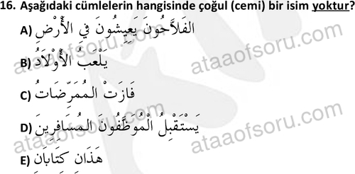 ata islamiilimler 1759 16