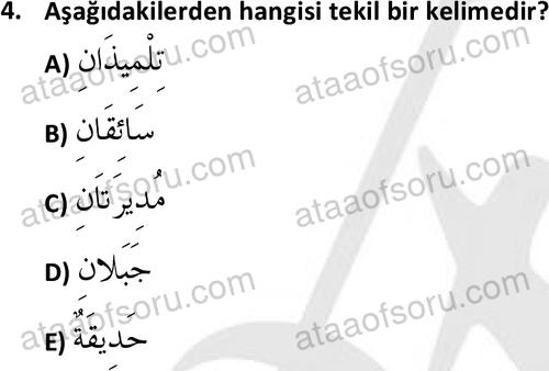 ata islamiilimler 1759 4