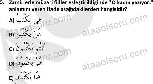 ata islamiilimler 1759 5